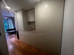 Skysuites@Anson (D2), Apartment #555790791